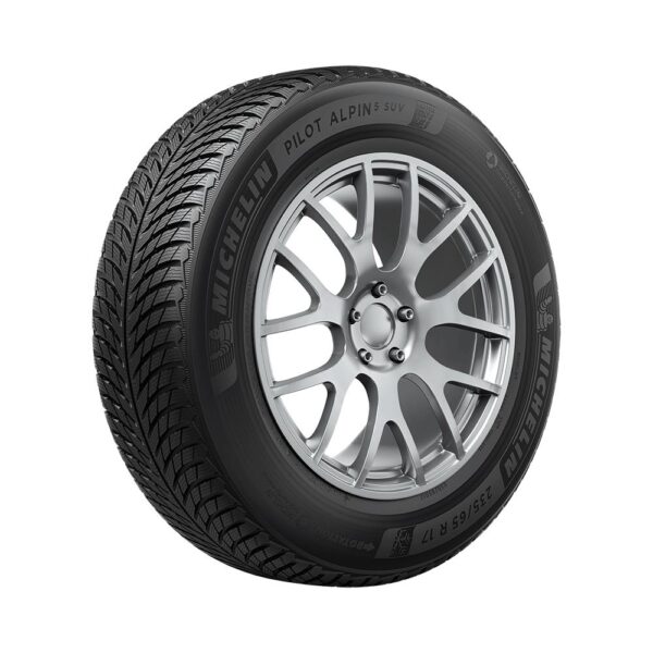 315/40R21 115V Michelin Pilot Alpin 5 SUV XL RG Kitka
